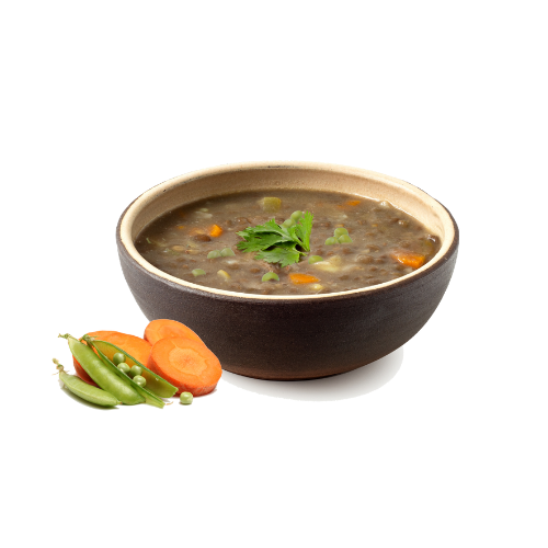 Numetra Beef Flavored Stew